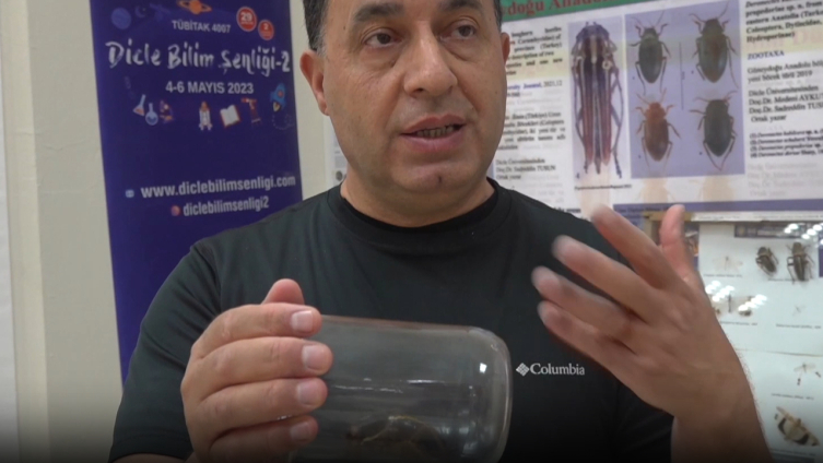 Şırnak'ta görülen "yamyam tombul çekirge" inceleniyor